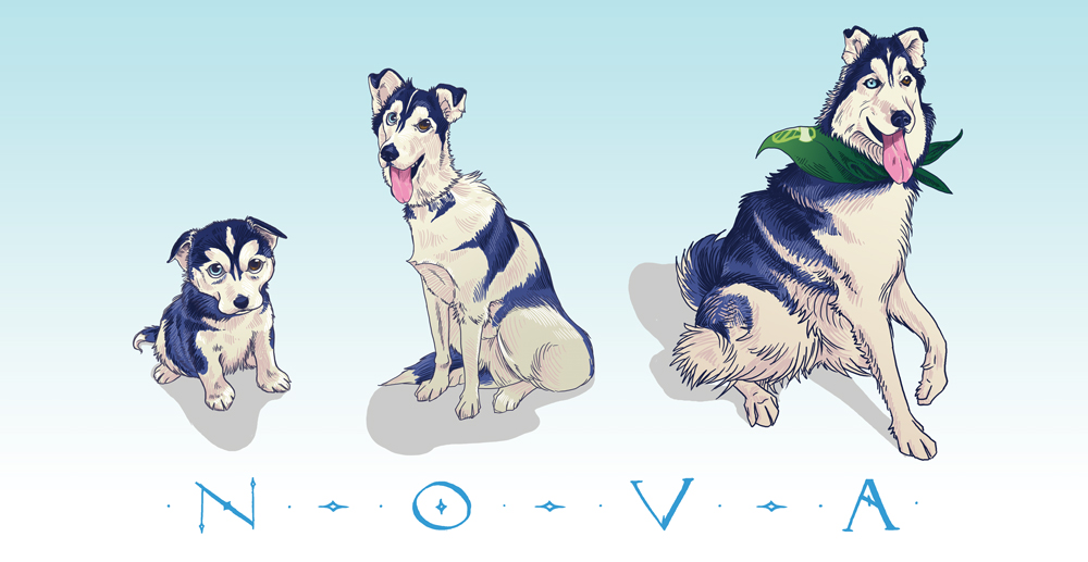 Nova