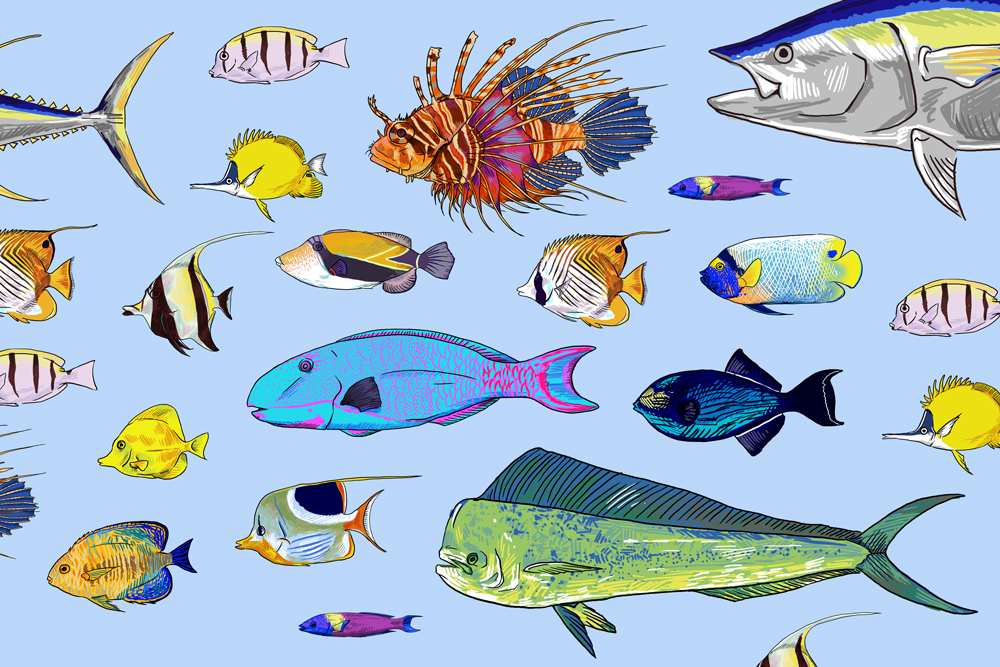 Fish