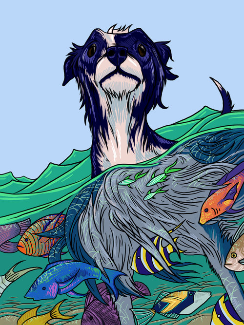 Dog and Fish